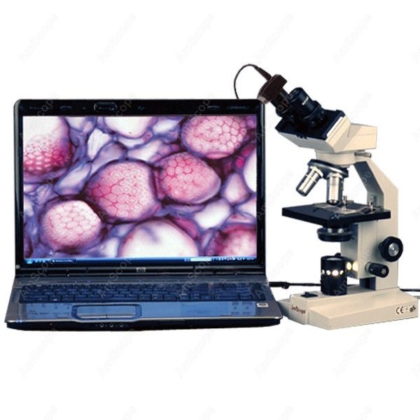 Amscope Microscope Compound 40X-1000X - AmScope B100 시리즈 생물학적 쌍안 복합