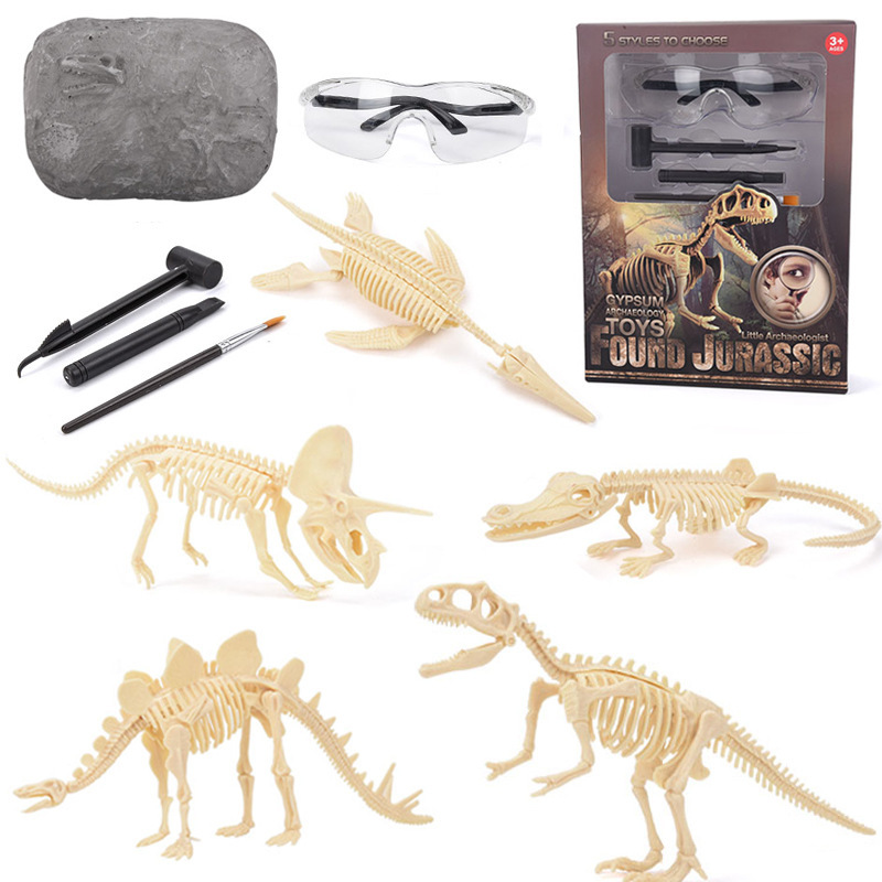 공룡 화석 발굴 키트 STEM 공룡 골격 모형 장난감  - Science Kit 리뷰 및 가격