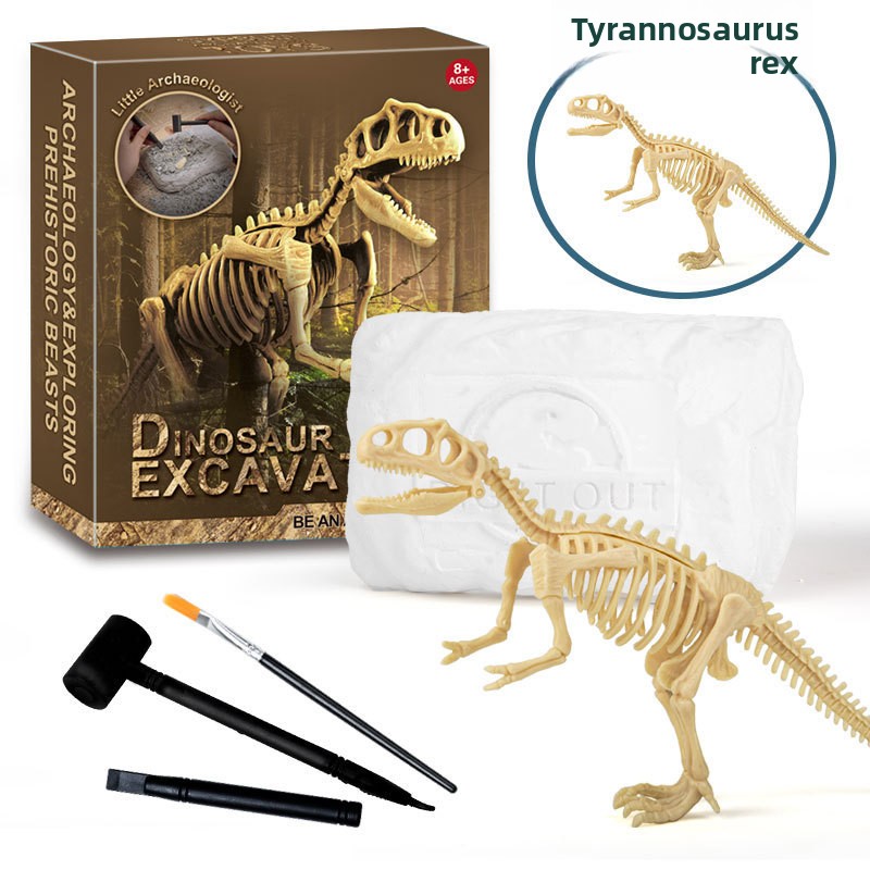 공룡 화석 발굴 키트 STEM 공룡 골격 모형 장난감  - Science Kit 리뷰 및 가격